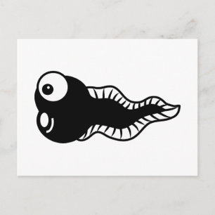Cartão Postal Tadpole