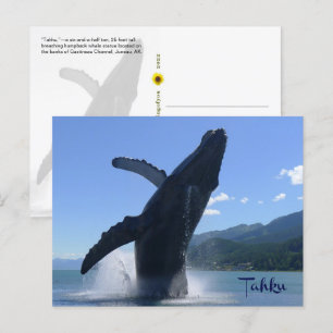 Cartão Postal "Tahku"— violando estátua de baleia-jubarte -