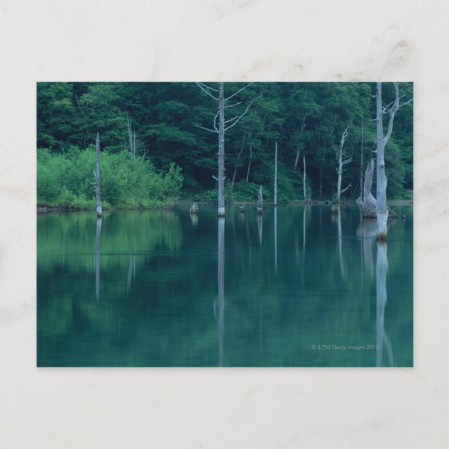 Cartão Postal Taisho Pond (Frente)