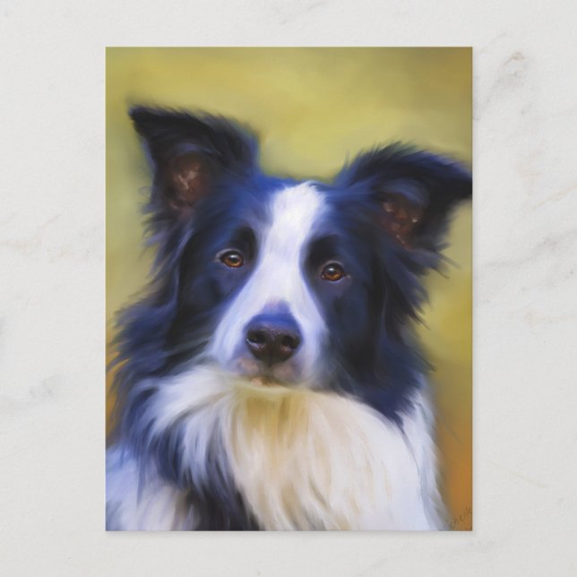 Cartão Postal Taj - Border Collie Art (Frente)