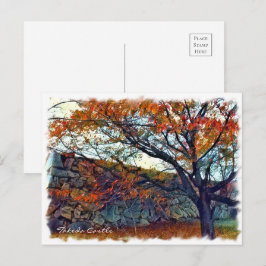 Cartão Postal Takeda Castle ポストカード