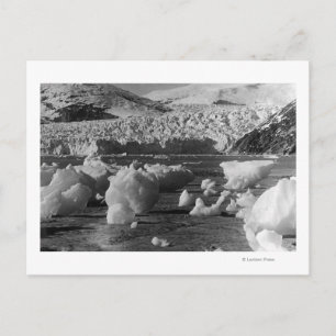 Cartão Postal Taku Glacier perto de Juneau, no Alaska Fotografia