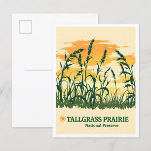 Cartão Postal Tallbeans Prairie National Preserve Kansas Viagem