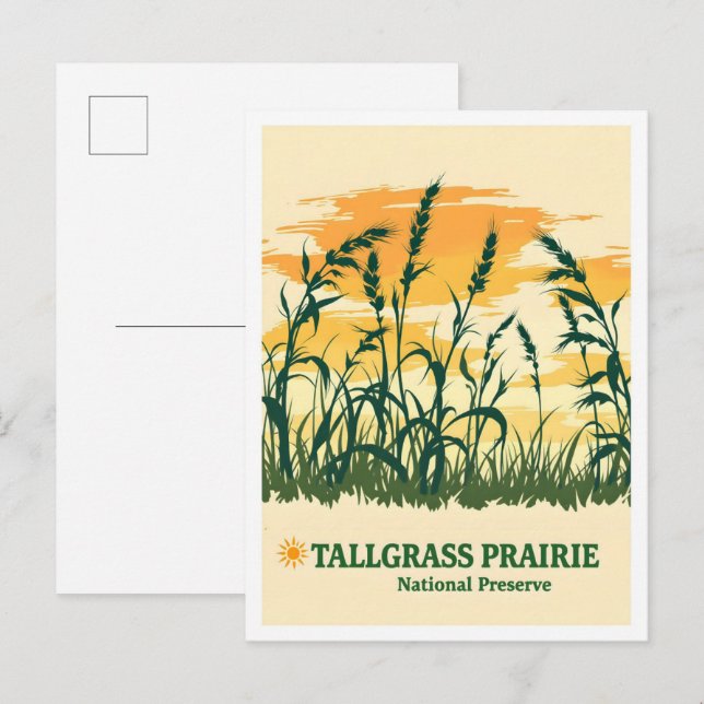 Cartão Postal Tallbeans Prairie National Preserve Kansas Viagem (Frente/Verso)