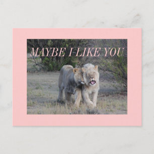Cartão Postal talvez