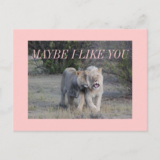 Cartão Postal talvez (Frente)
