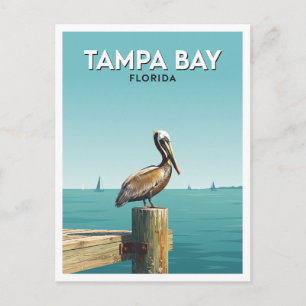 Cartão Postal Tampa Bay à beira-mar, Flórida