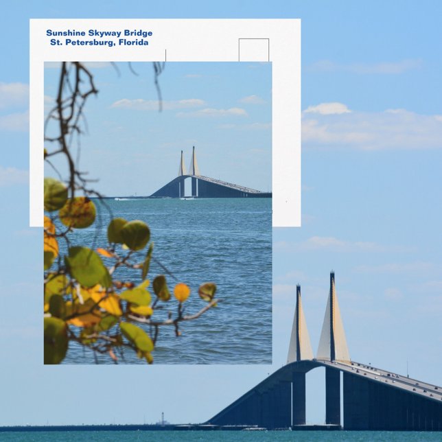 Cartão Postal Tampa Bay Sunshine Skyway Bridge Fotográfica (Criador carregado)