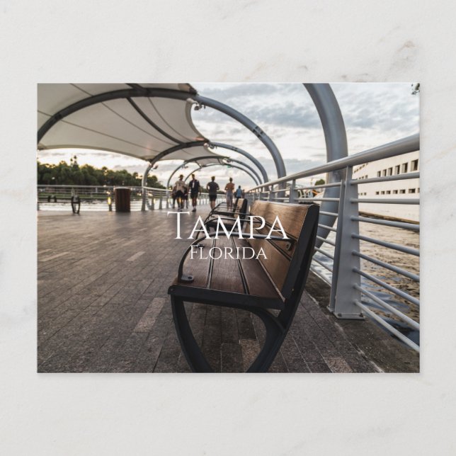 Cartão Postal Tampa Florida (Frente)
