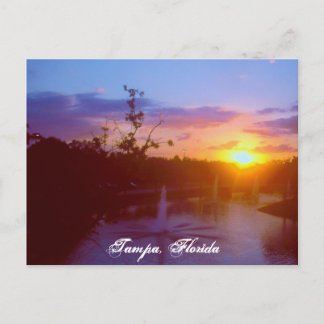 Cartão Postal Tampa Florida