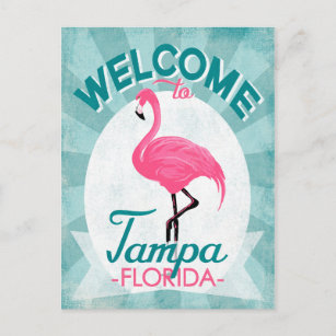Cartão Postal Tampa Florida Pink Flamingo - Vintage Retro Viagem
