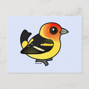 Cartão Postal Tanager Ocidental