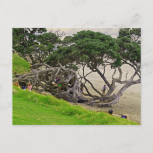 Cartão Postal Tangle tree