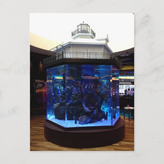 Cartão Postal Tanque de Peixe de Farol do Meio-Golfo (Frente)