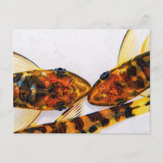 Cartão Postal tanque de peixes Otocinclus zebra