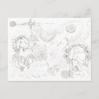 Cartão Postal Tansy banditas