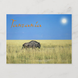 Cartão Postal Tanzânia