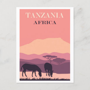 Cartão Postal Tanzânia Africa Pink Vintage Zebra Viagem