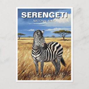 Cartão Postal Tanzânia Serengeti National Park Zebra
