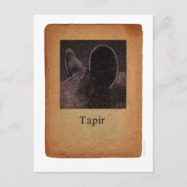 Cartão Postal Tapir