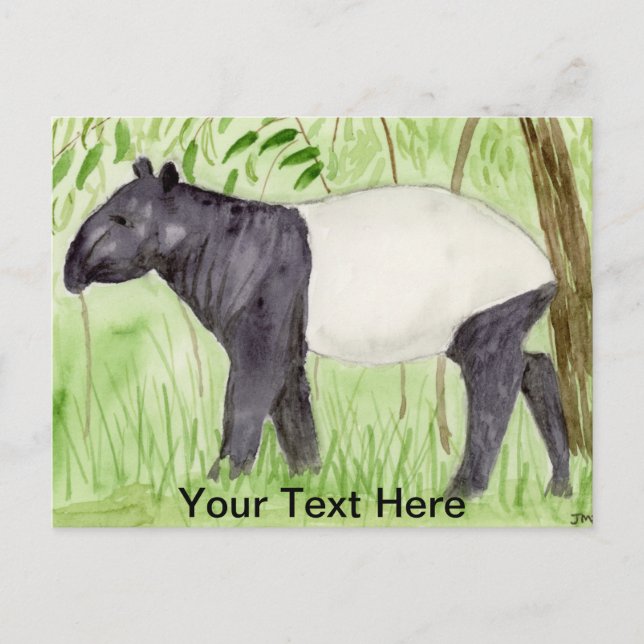 Cartão Postal Tapir (Frente)