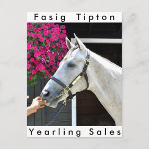 Cartão Postal Tapit -Rote Hip n.o 140