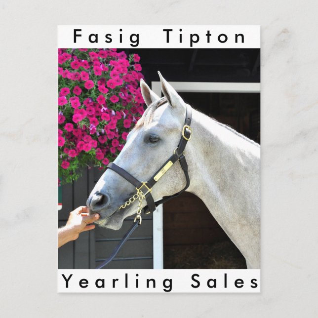 Cartão Postal Tapit -Rote Hip n.o 140 (Frente)