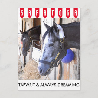 Cartão Postal Tapwrit & Always Dreaming
