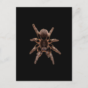 Cartão Postal Tarantula
