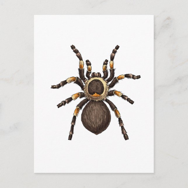 Cartão Postal Tarantula (Frente)