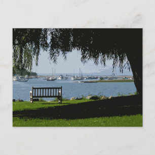 Cartão Postal Tarde do verão @ o porto