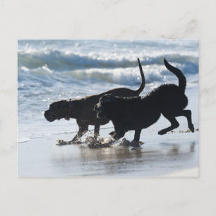 Cartão Postal tarifa cadiz andalusia espanha