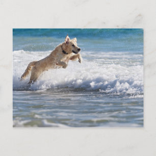 Cartão Postal tarifa, cadiz, andaluzia, espanha 2