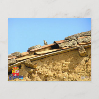 Cartão Postal Tarjeta postal