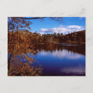 Cartão Postal Tarn Hows brilhante Dia do outono Distrito do Lago