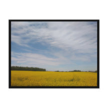 Tarnowskie Góry (Polônia