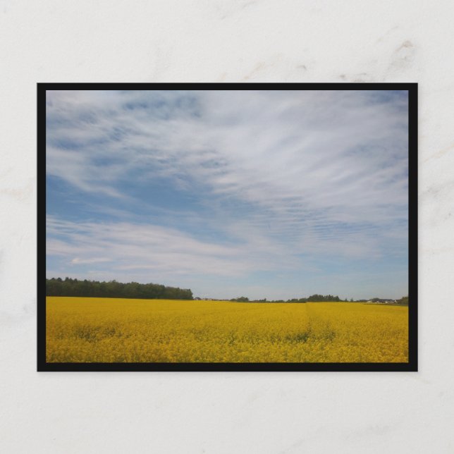 Cartão Postal Tarnowskie Góry (Polônia (Frente)