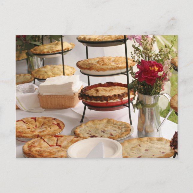 Cartão Postal tartaruga (Frente)