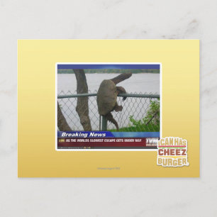 Cartão Postal Tartaruga de saída