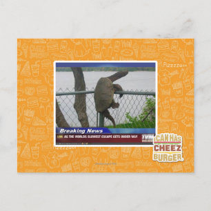 Cartão Postal Tartaruga de saída