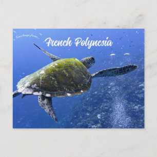 Cartão Postal Tartaruga em Mo'orea Polinésia Francesa