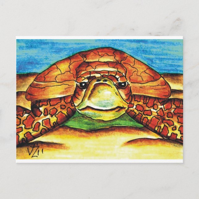 Cartão Postal Tartaruga marinha (Frente)