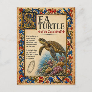 Cartão Postal Tartaruga Marinha, Arte Medieval de Bestiário