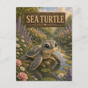 Cartão Postal Tartaruga Marinha Bebe História Livro Infantil Ani