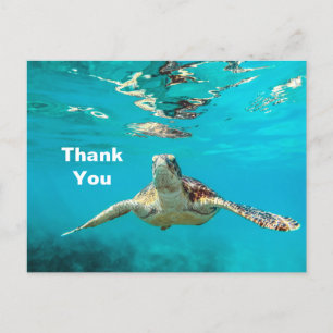 Cartão Postal Tartaruga Marinha Obrigado