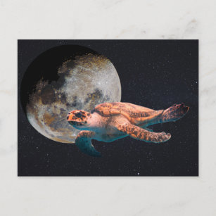 Cartão Postal tartaruga marinha surreal na colagem espacial