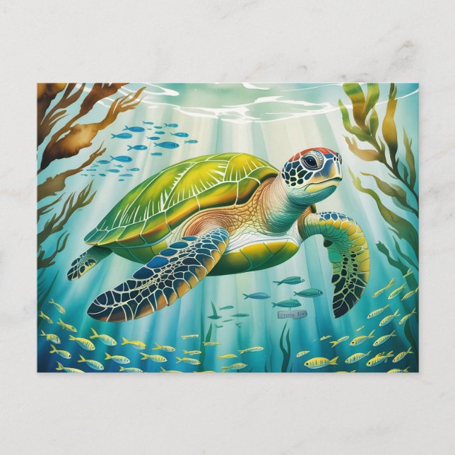 Cartão Postal Tartaruga Pintada (Frente)