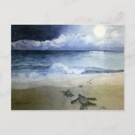 Cartão Postal Tartarugas do Mar do Bebê batendo à noite