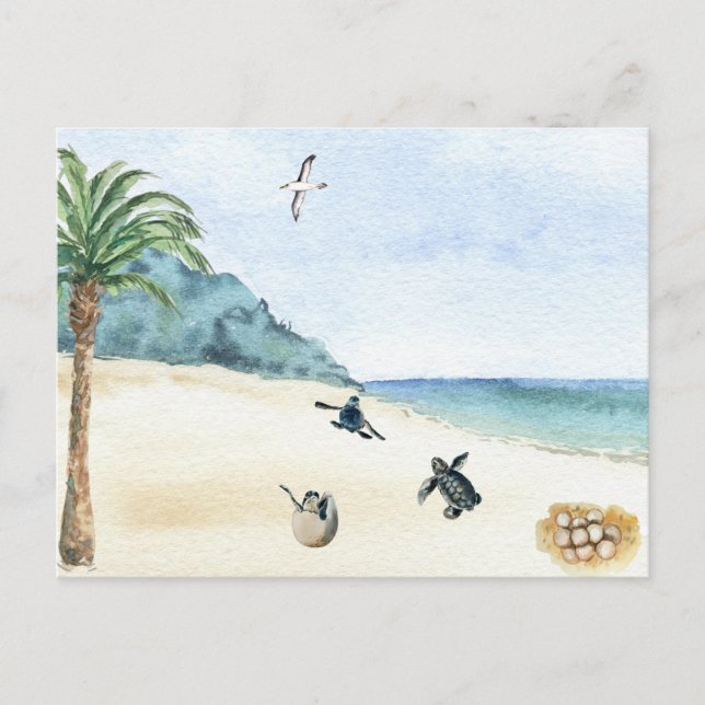 Cartão Postal Tartarugas marinhas Bebê Acascando Aquarela (Frente)
