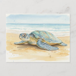 Cartão Postal Tartarugas Marinhas de Kauai Descansando na Praia
